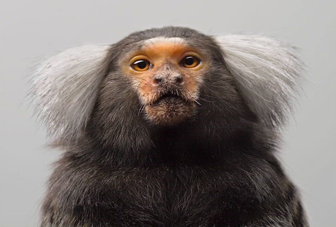 187