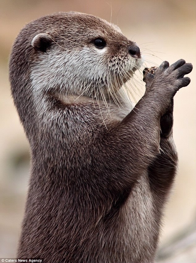 212