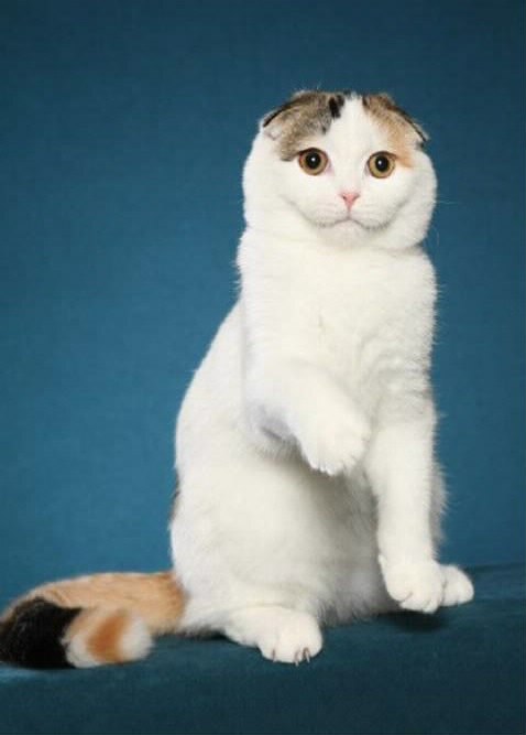 583